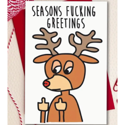Seasons Fucking Greetings Card